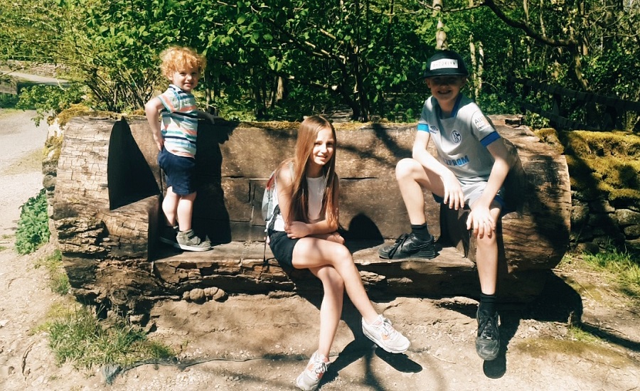 Children sitting in the woods